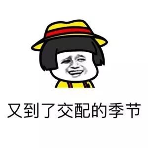 搞笑聊天斗图表情包第5弹-男生看到美女时在想什么？