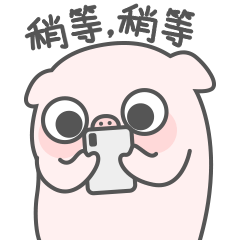  搞笑聊天斗图表情包第19弹 - 小猪猪wink微信表情图片